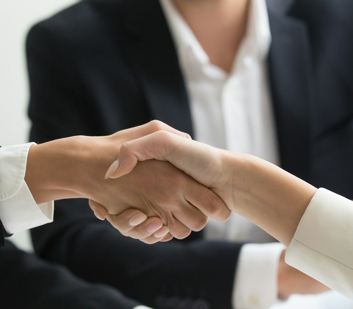 Business professionals shaking hands